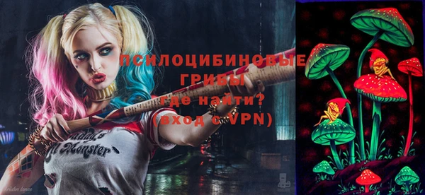 бошки Балахна