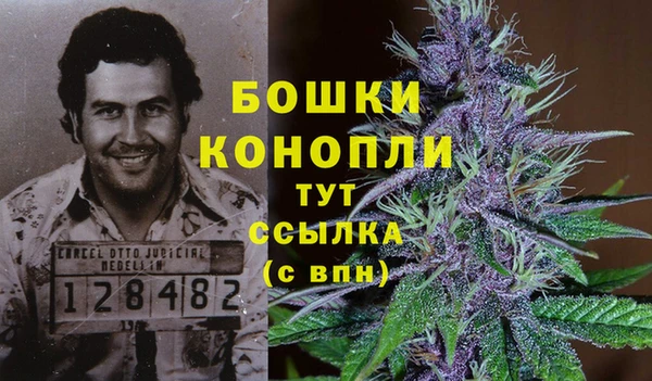 бошки Балахна
