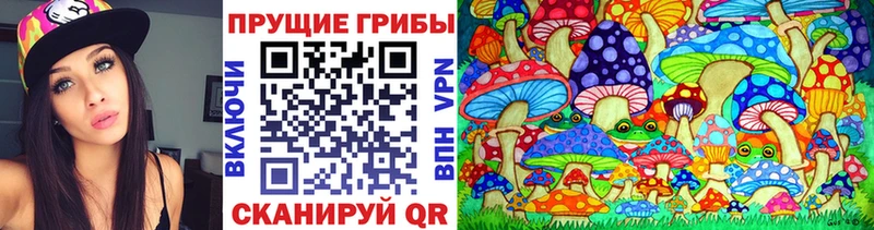 omg ссылки  Сланцы  Галлюциногенные грибы Cubensis 